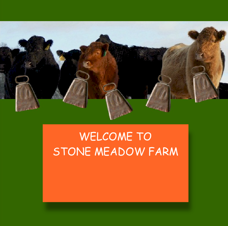 Welcome to
Stone Meadow Farm
